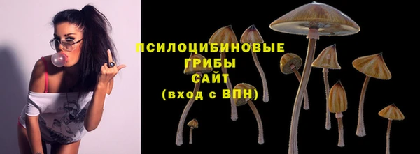 молекула духа Абдулино