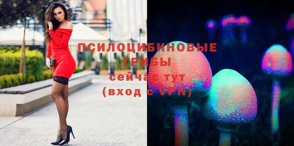хмурый Абинск
